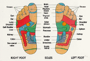 reflexology foot chart